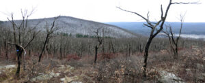 View south from the Wurtsboro Ridge with the Basha Kill visible. 2012 [JAKOB FRANKE]