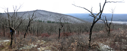 View south from the Wurtsboro Ridge with the Basha Kill visible. 2012 [JAKOB FRANKE]