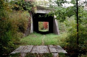 Basha Kill railway bed. 2001 [JAKOB FRANKE]