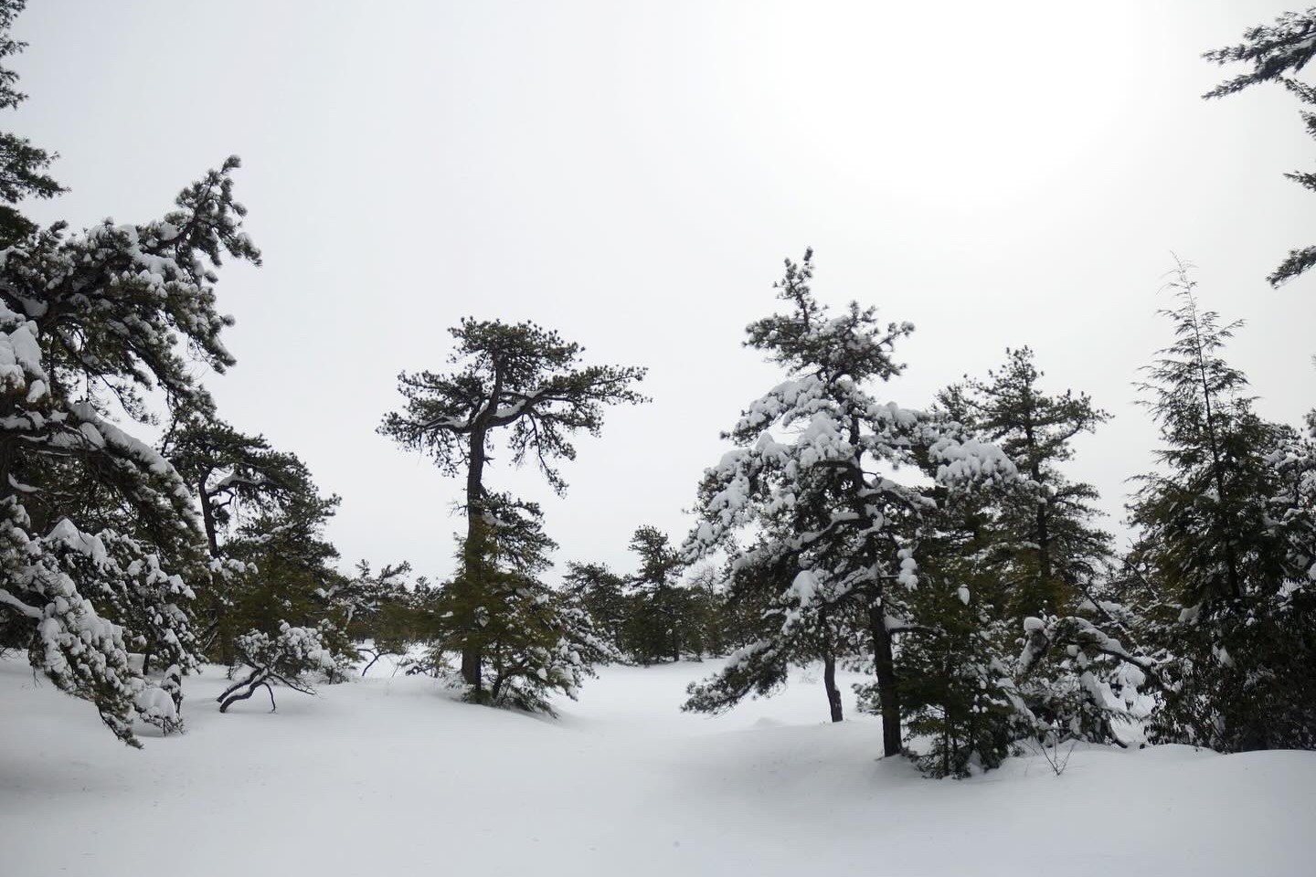 Seasonal Road Closures at Harriman-Bear Mountain State Parks in Effect