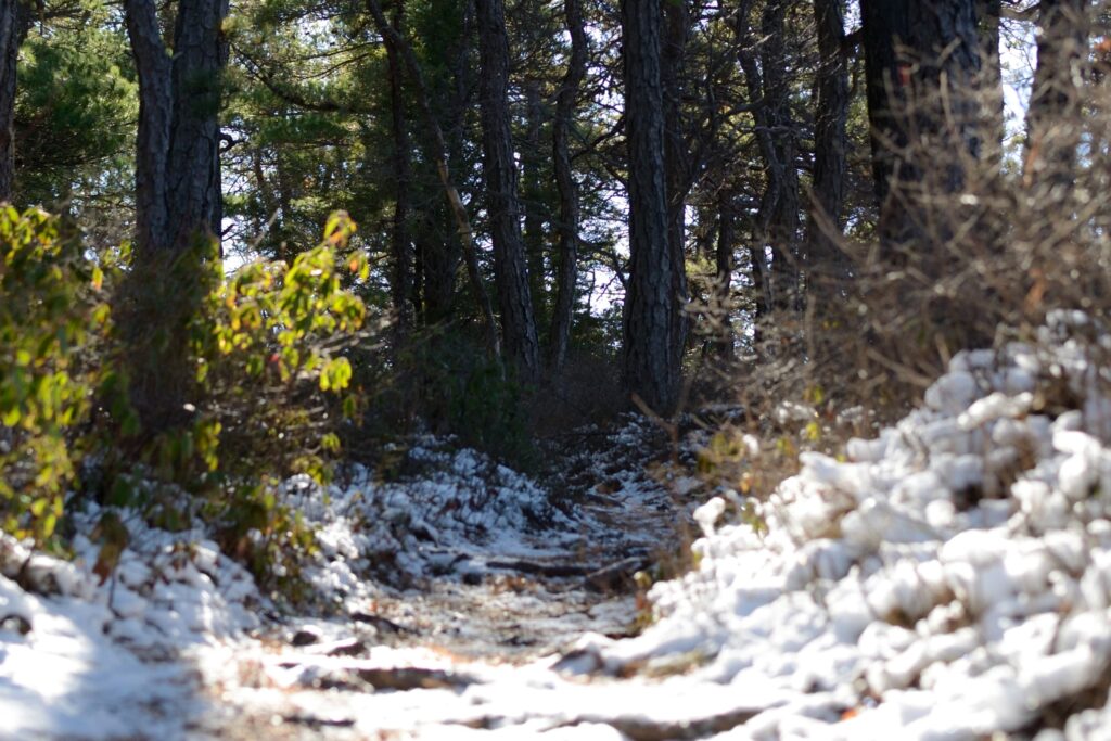Snow cover at Gertrudes Nose, Minnewaska SP, NY - Photo by Krysti Sabins
