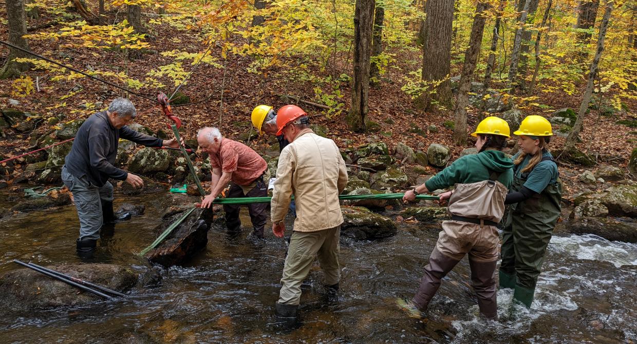 Restoring Access on Fahnestock’s Perkins Trail