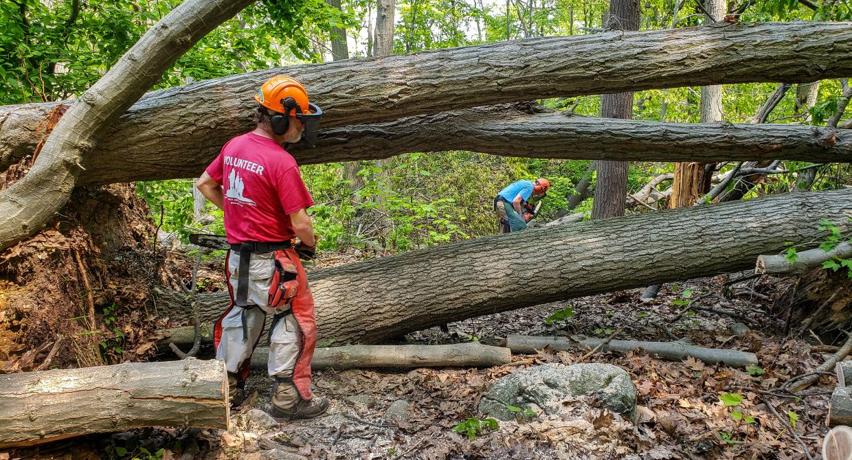 After the Storm: Volunteers Restore Access to Trails