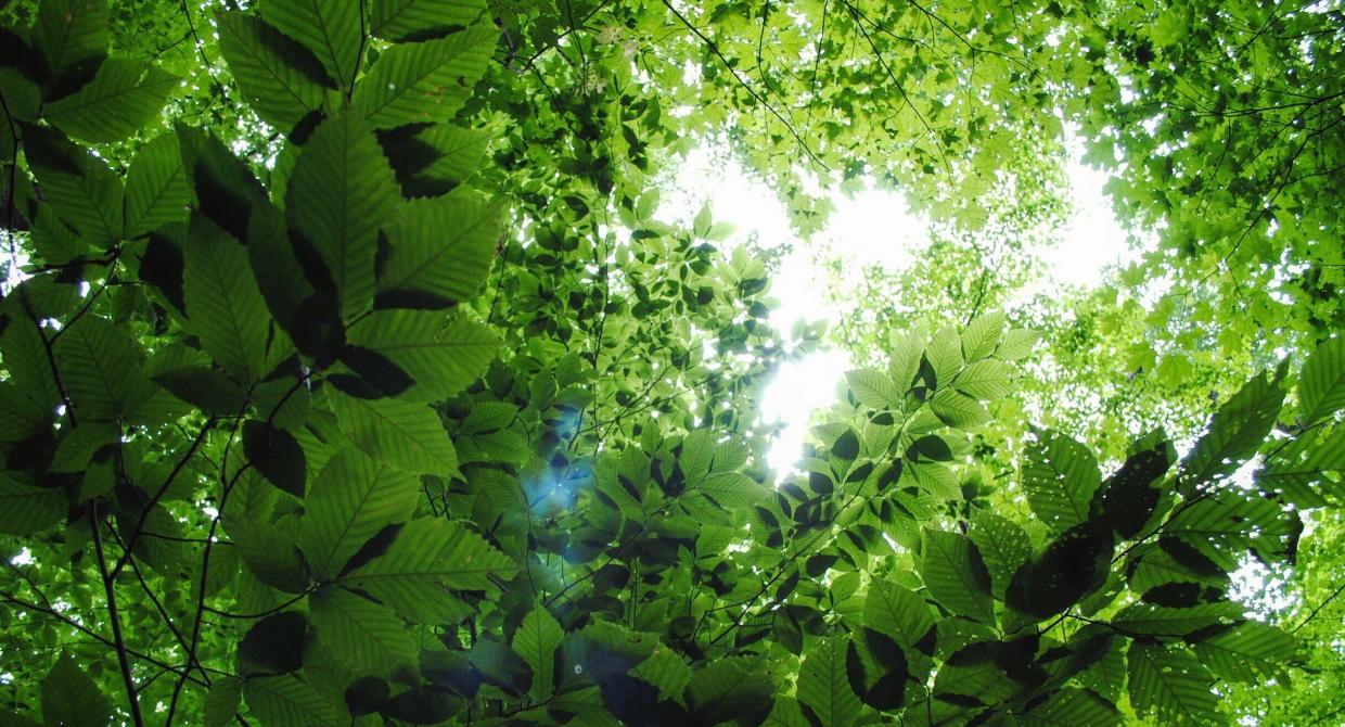 Working to Create an Inclusive Outdoors
