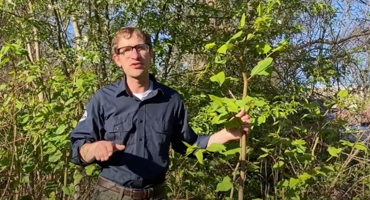 Ecological Stewardship Team Update