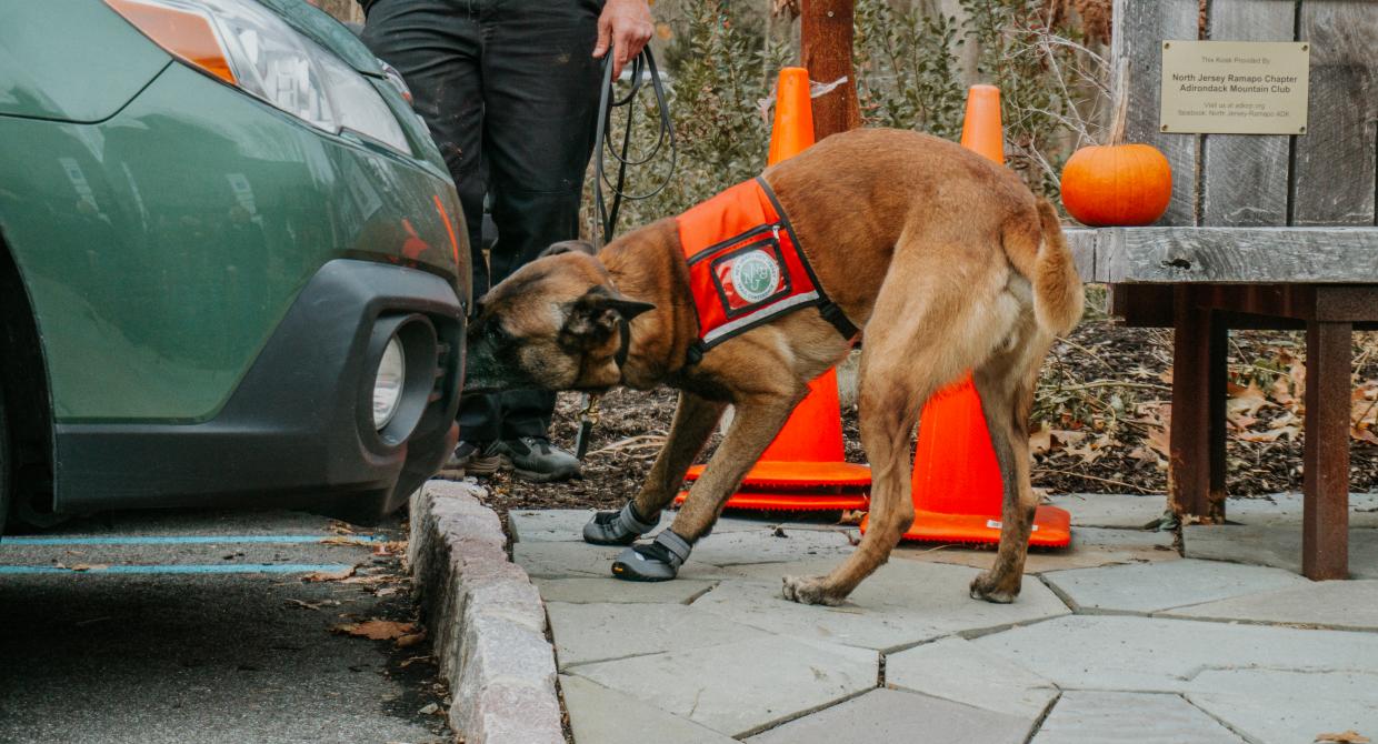 Cornell Atkinson Venture Fund Awarded to Trail Conference Conservation Dogs Program and Collaborators