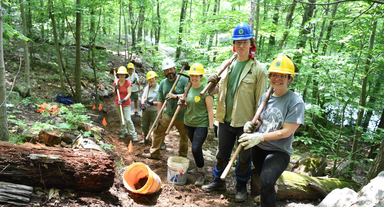 The Impact of Our Volunteers, in the Field and Online