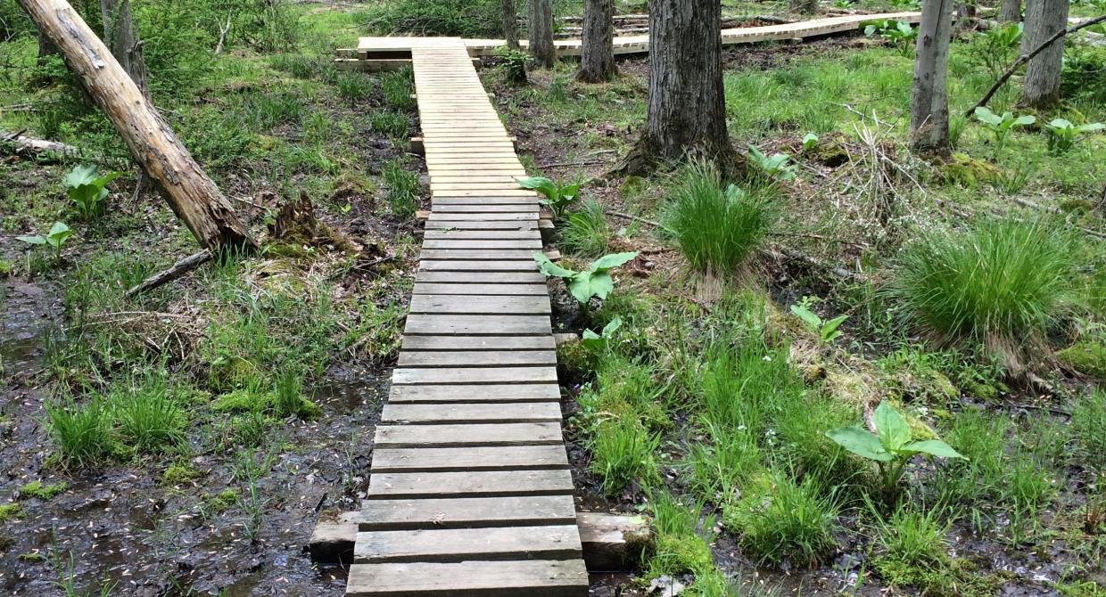 Generous Donor Funds East Hudson Trail Tramps Projects