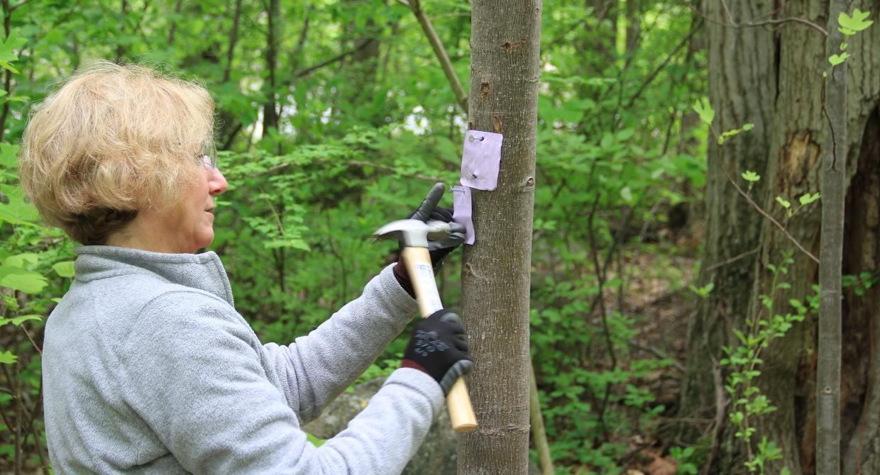 Updated Trail Maintenance Manual Now Available