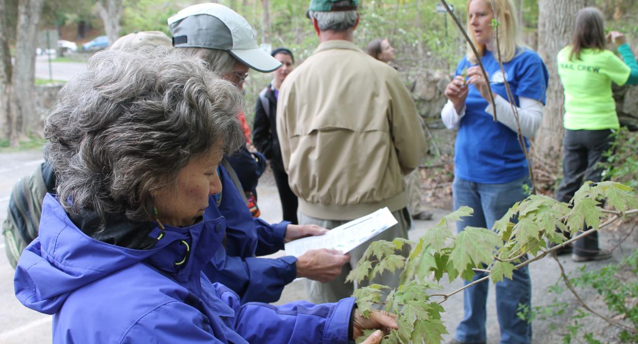 Invasive Species Program Expands
