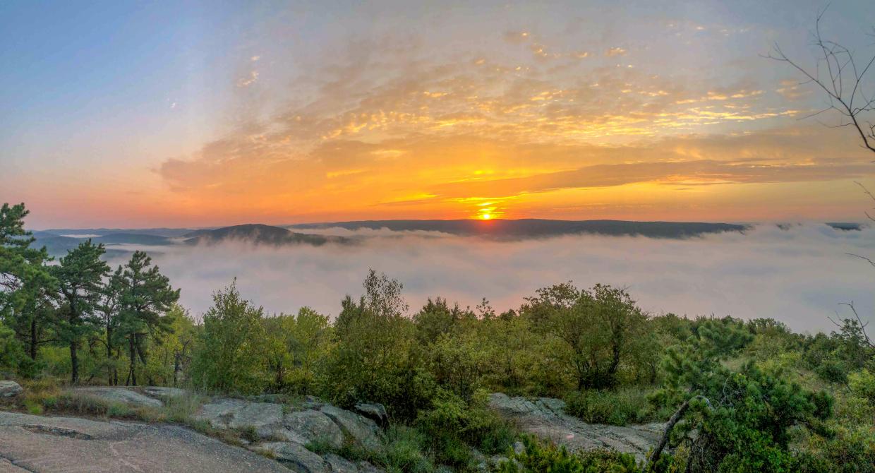 Wyanokie Sunrise at Norvin Green State Forest. Photo by Heather Darley.