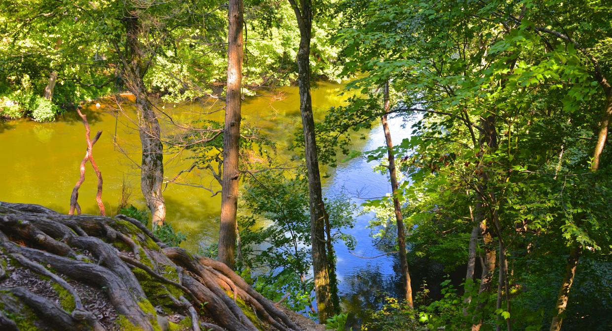 Stewards to Begin Work Protecting the Croton River