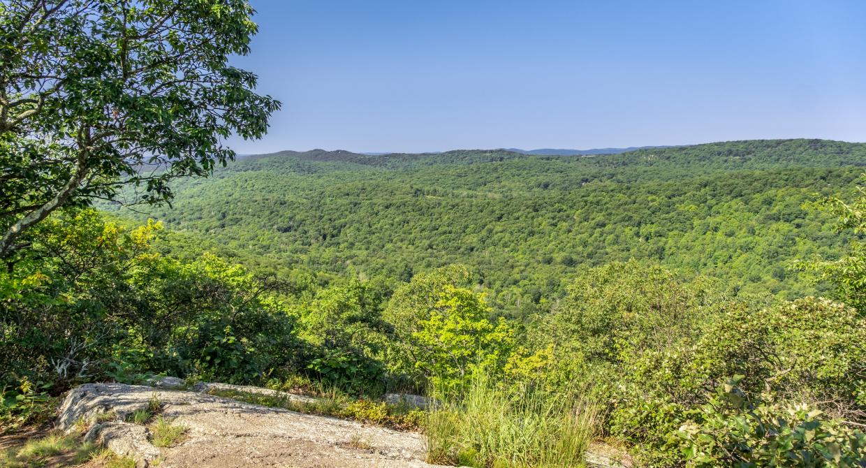 Improvements in Fahnestock State Park