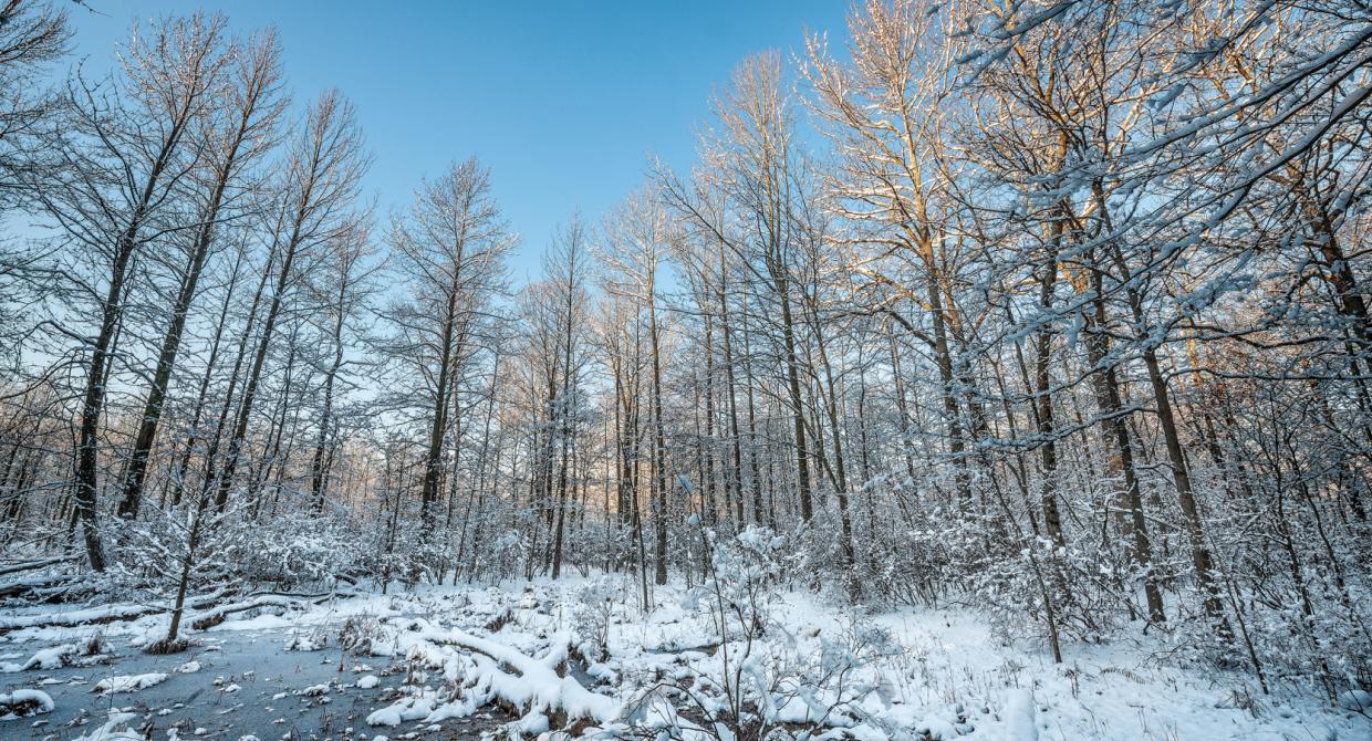 New Bill Threatens National Wilderness Lands