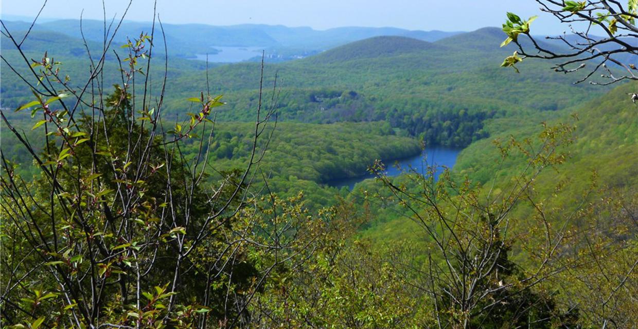 Southeastern View Fishkill Ridge Conservation Area - Photo credit: Daniela Wagstaff