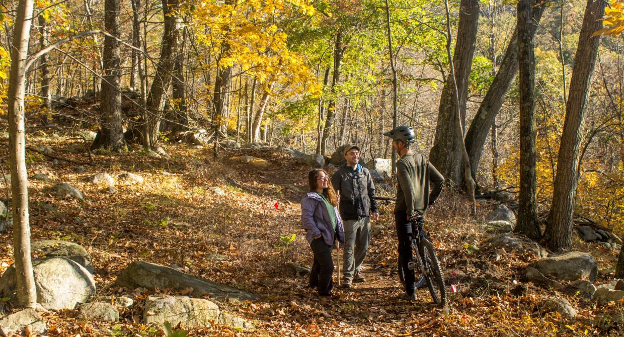 Building Your Next Adventure in Sterling Forest