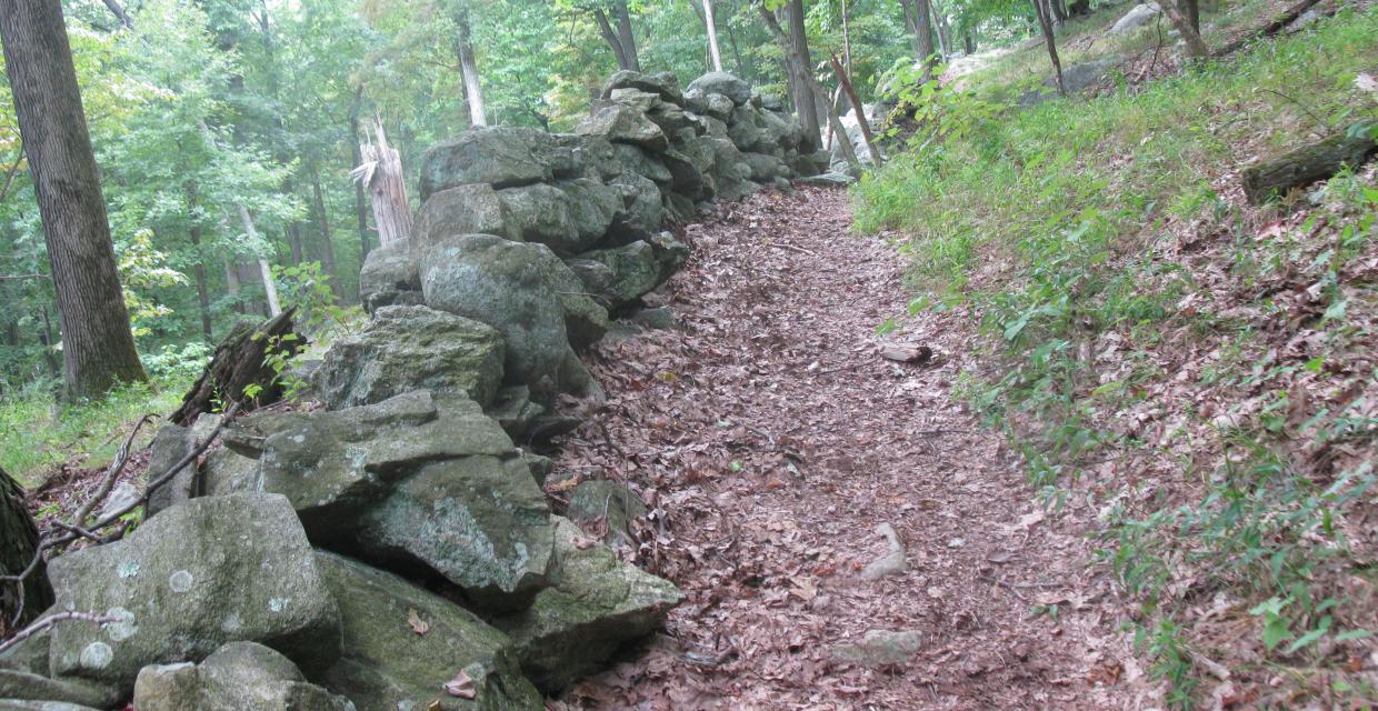 Hike: Appalachian Trail /Osborn Loop Trail from Route 9