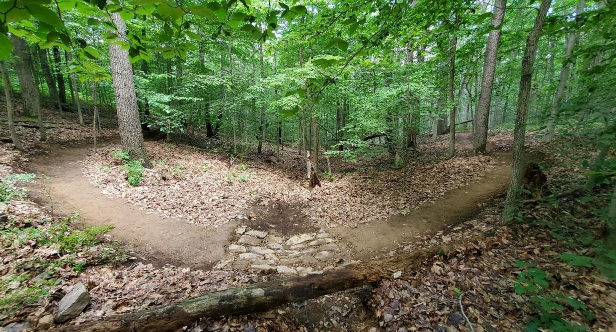 From the Executive Director: Moved By Nature. United By Trails