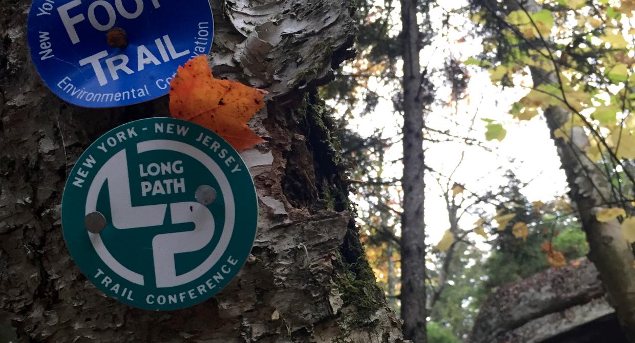 Long Path blaze. Photo by Heather Darley