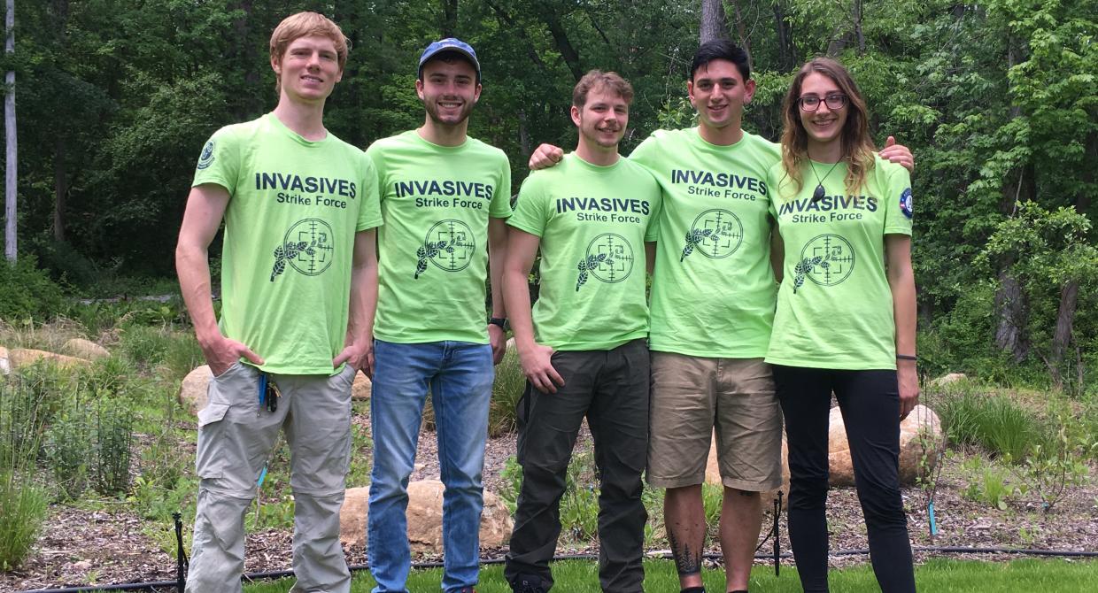 Striking Out Invasive Plants in New York