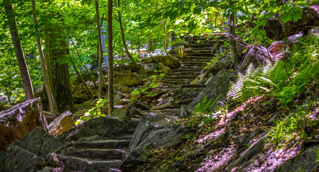 How Great Trail Experiences Are Made