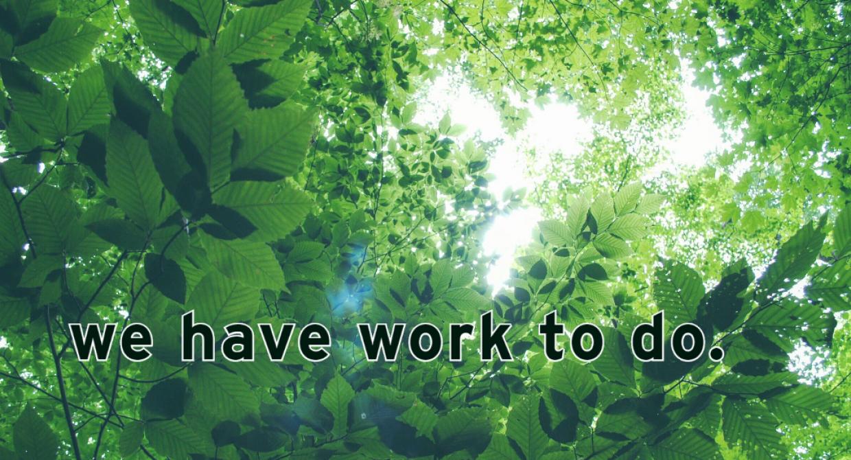 We Have Work to Do