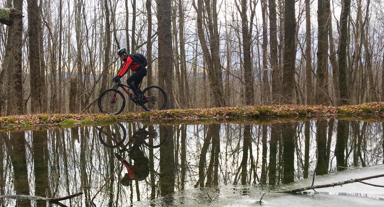From the Executive Director: Multi-Use Trails Are Strengthening Our Force for Good