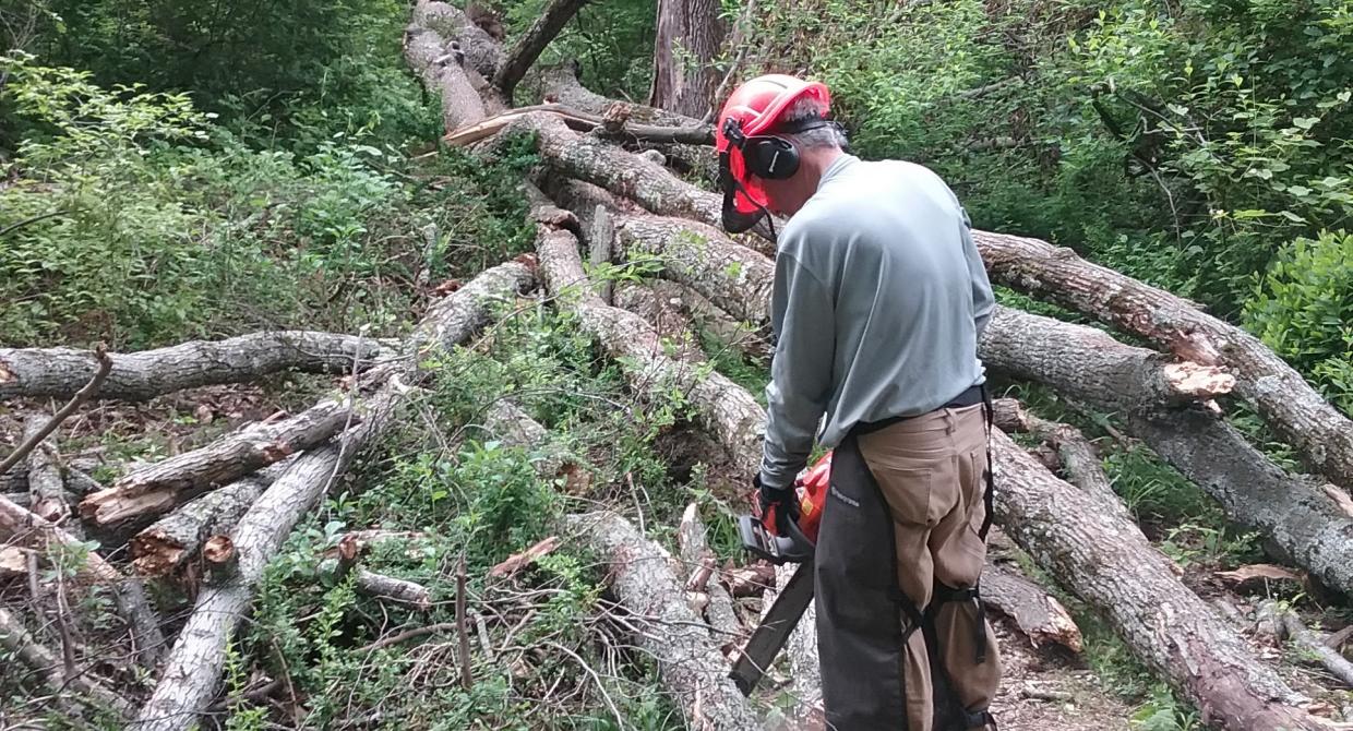 After the Storm: Volunteers Respond in NJ