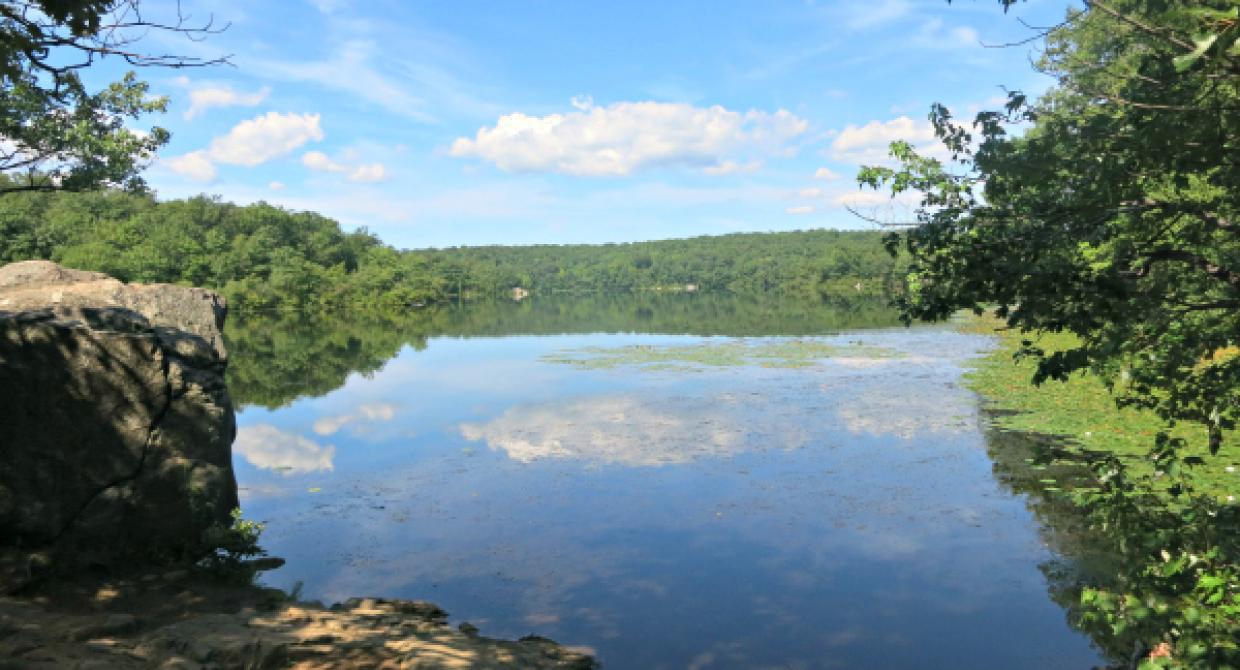 Trail Improvements in Ramapo Mountain State Forest