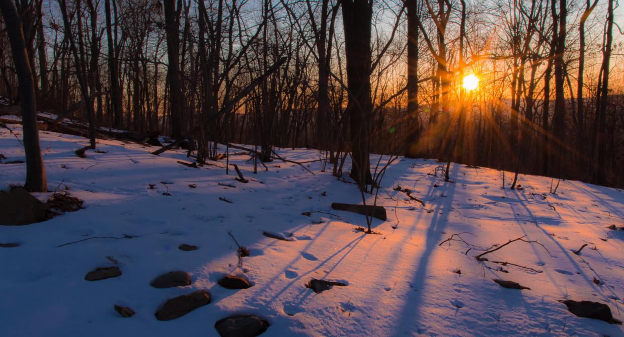 NY Advocacy Days: Encouraging Support for Trail Lands