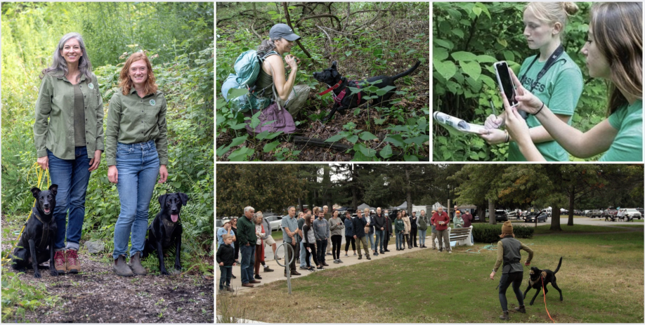Volunteer Dog Surveyor Program Conservation Dogs Program