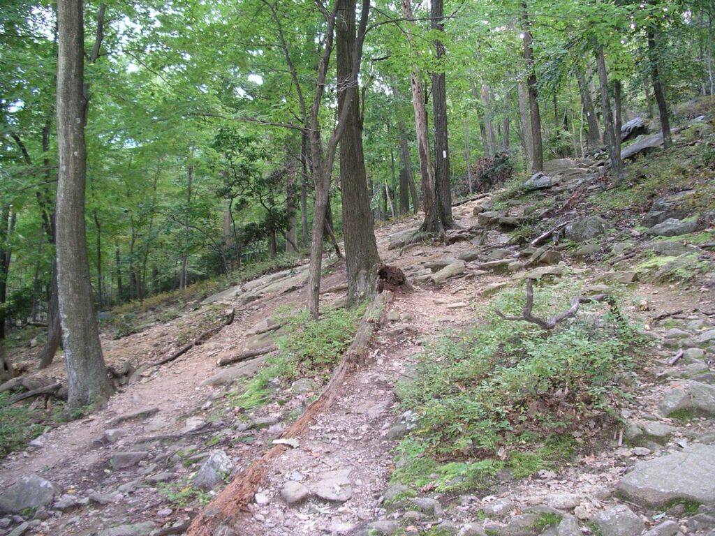 Trail conditions before the Bear Mountain Trails Project restoration. the Appalachian Trail on Bear Mountain was as wide as 40 feet in some places. Trail conditions before the Bear Mountain Trails Project restoration. the Appalachian Trail on Bear Mountain was as wide as 40 feet in some places.