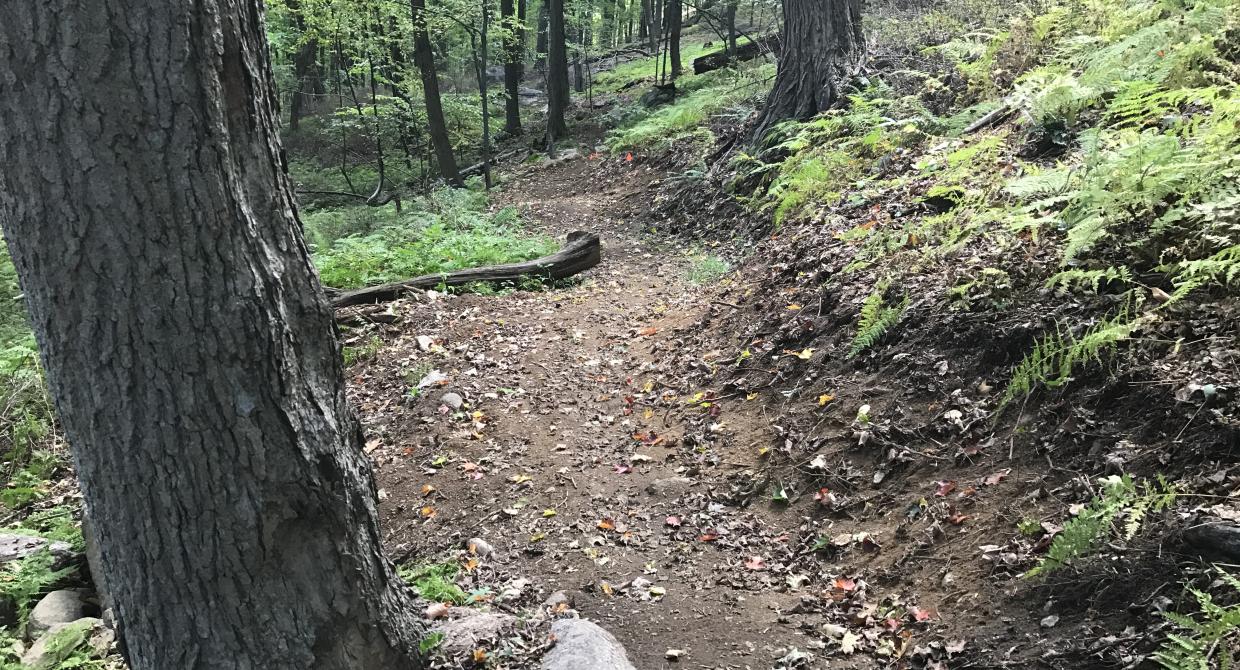 Ribbon-Cutting to Celebrate New Multi-Use Hutchinson Trail in Sterling Forest