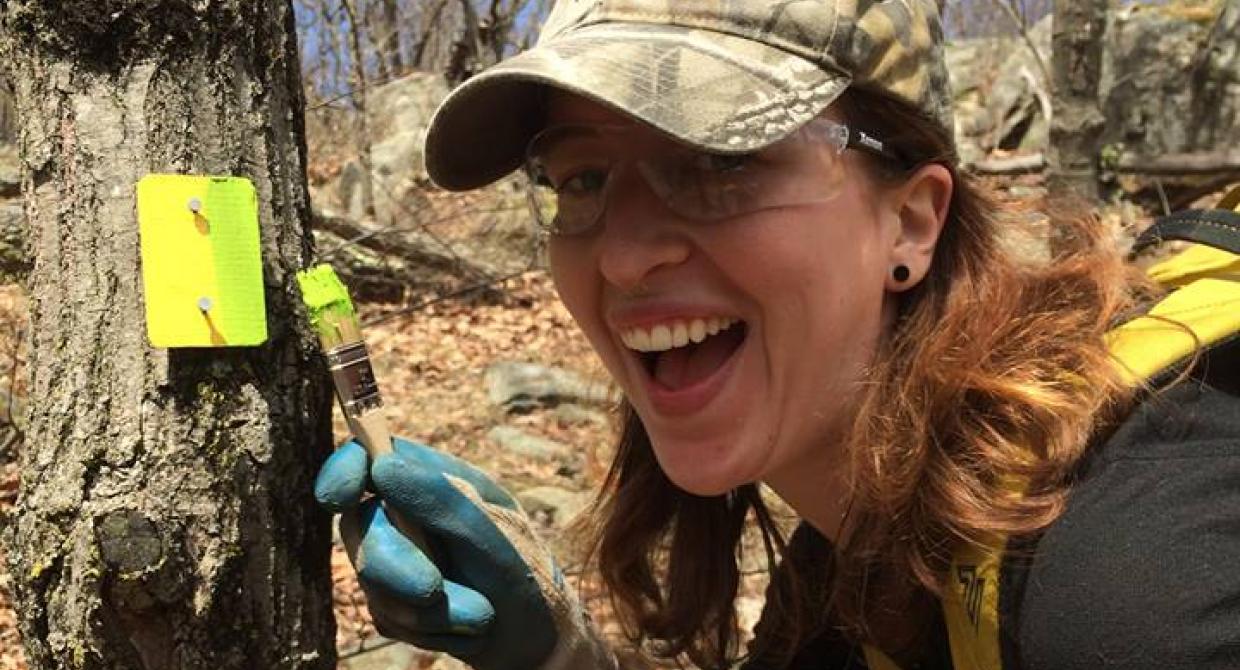 Trail Changes Underway in Norvin Green and Long Pond Ironworks