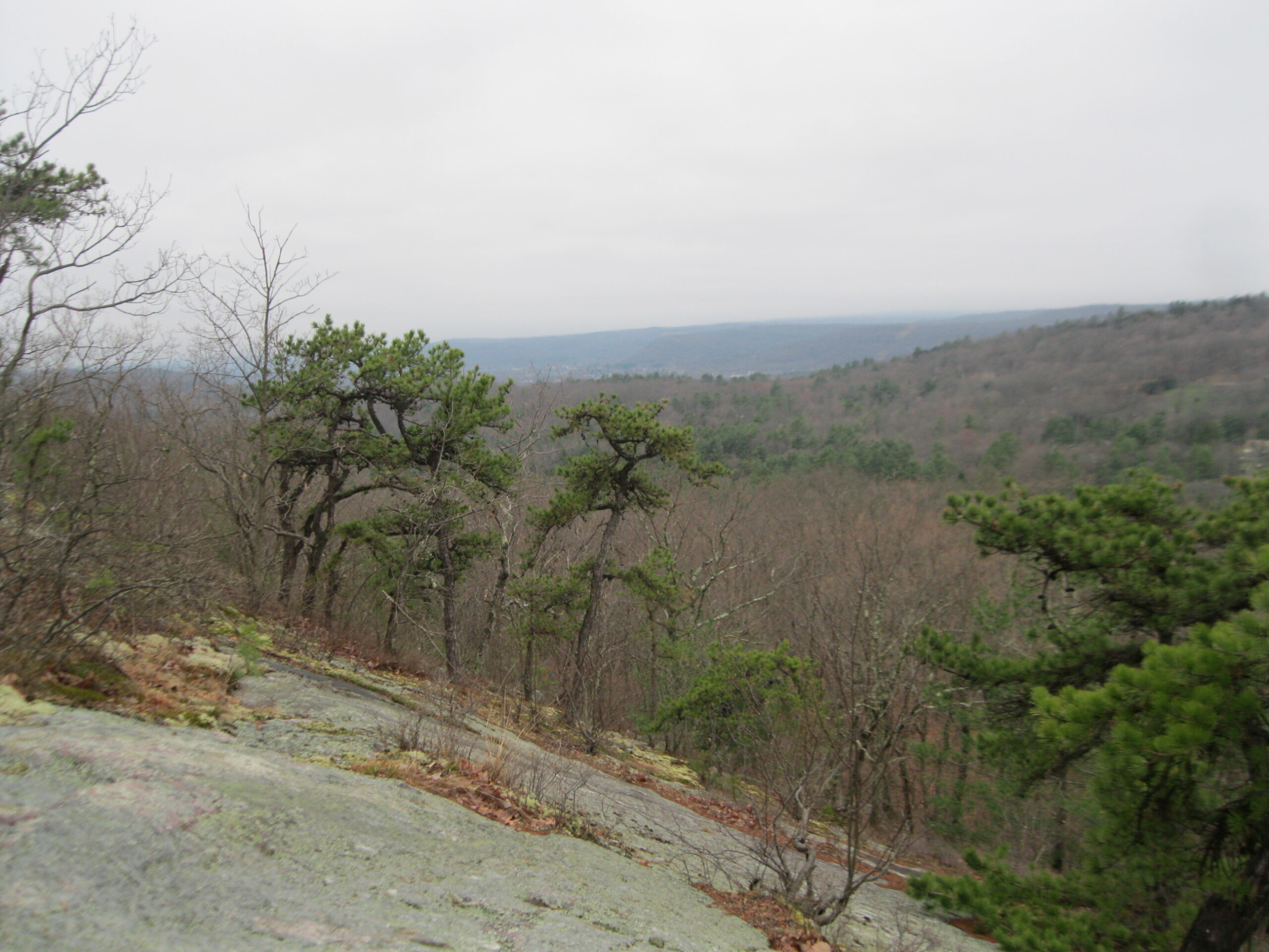 Land Purchase Protects Shawangunk Ridge Trail Section in Orange County