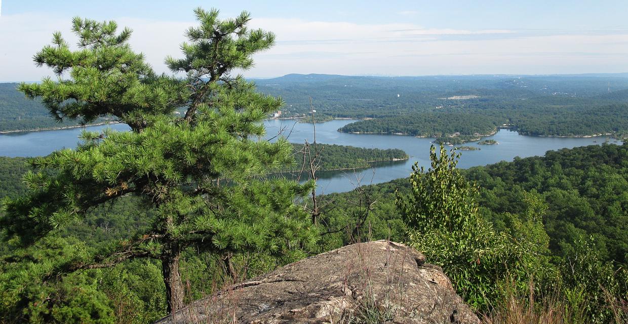 Wanaque Reservoir - Wyanokie High Point Loop - Norvin Green State Forest - Photo: Daniel Chazin