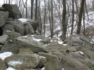 Falling Waters Trail along Electric Brook. Photo by Daniel Chazin.