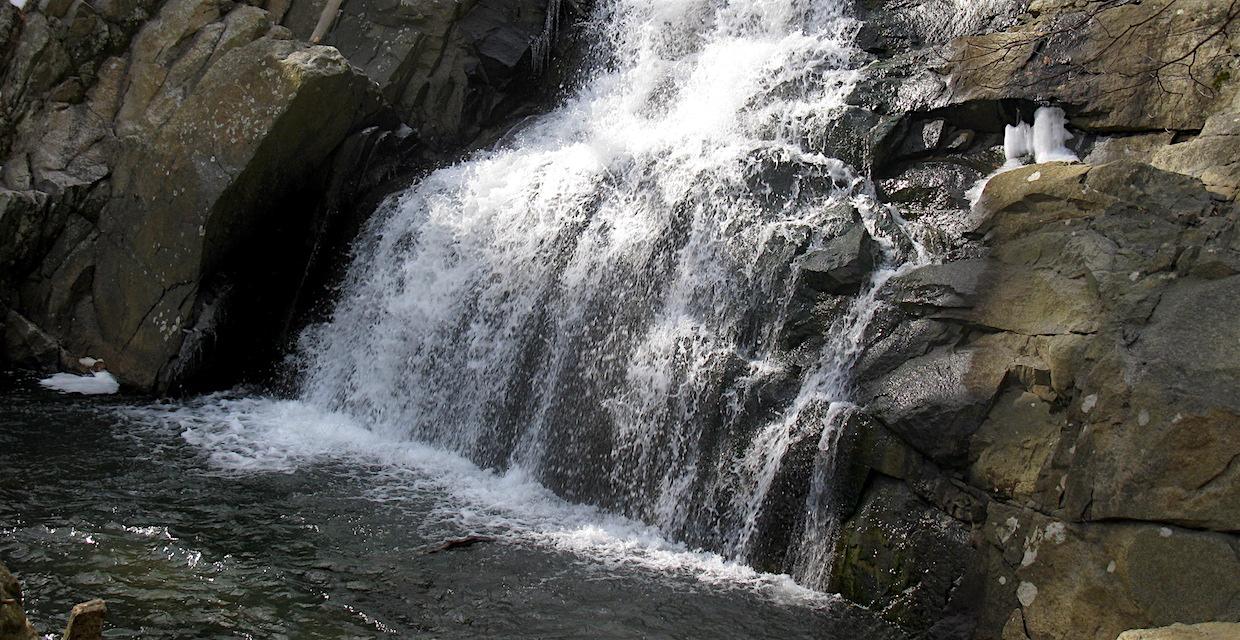 Falling Waters and Grand Loop Trails - Schooleys Mountain County Park - Photo: Daniel Chazin