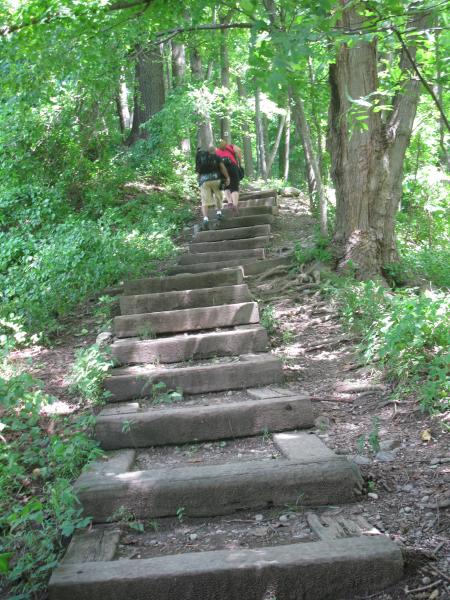 Start of the Red Dot trail. Photo by Dan Chazin.