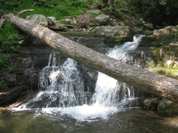 Dunnfield Creek. Photo by Dan Chazin.