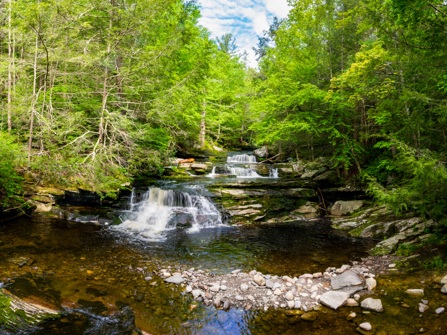 DEC Announces Long Path Project to Enhance Hiker Safety in Catskill Forest Preserve