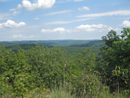 View from the intersection of Doris Duke and Allis Trails. Photo by Daniel Chazin.