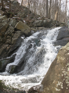 Waterfall along Electric Brook. Photo by Daniel Chazin.