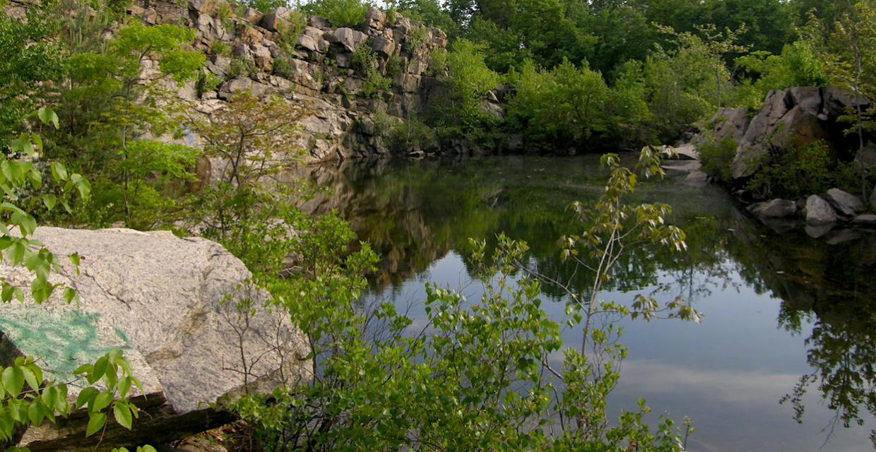 Cranberry Lake Preserve - Photo: Jane Daniels