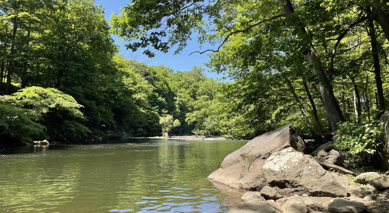 Croton Gorge Unique Area