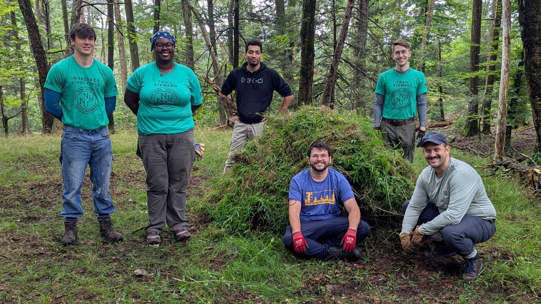 Trail Conference Conservation Corps crews work together in Harriman State Park to remove invasive species