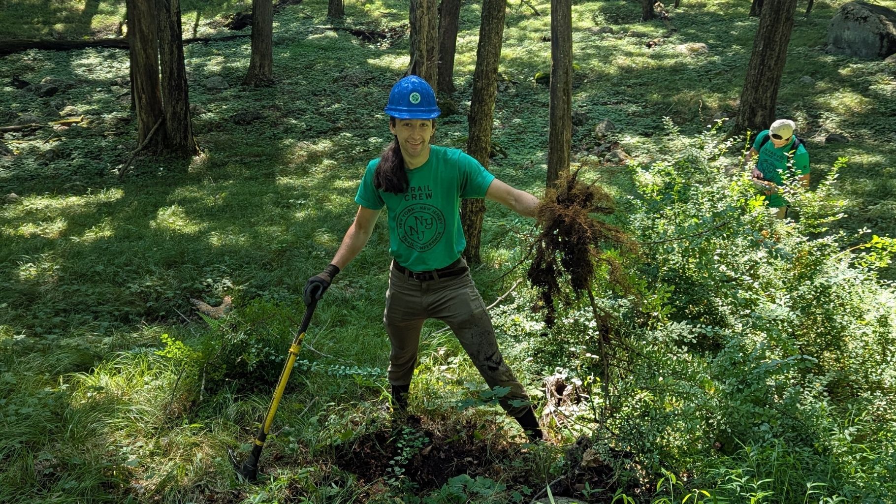Trail Conference Conservation Corps crews work together in Harriman State Park to remove invasive species