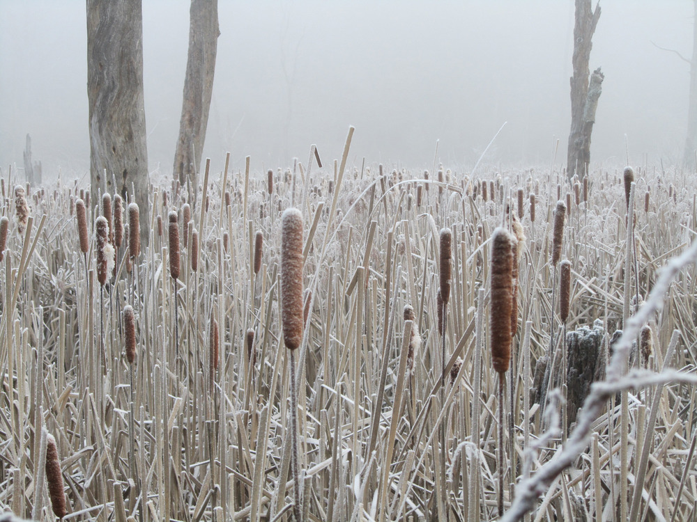 Delaware Water Gap in Winter