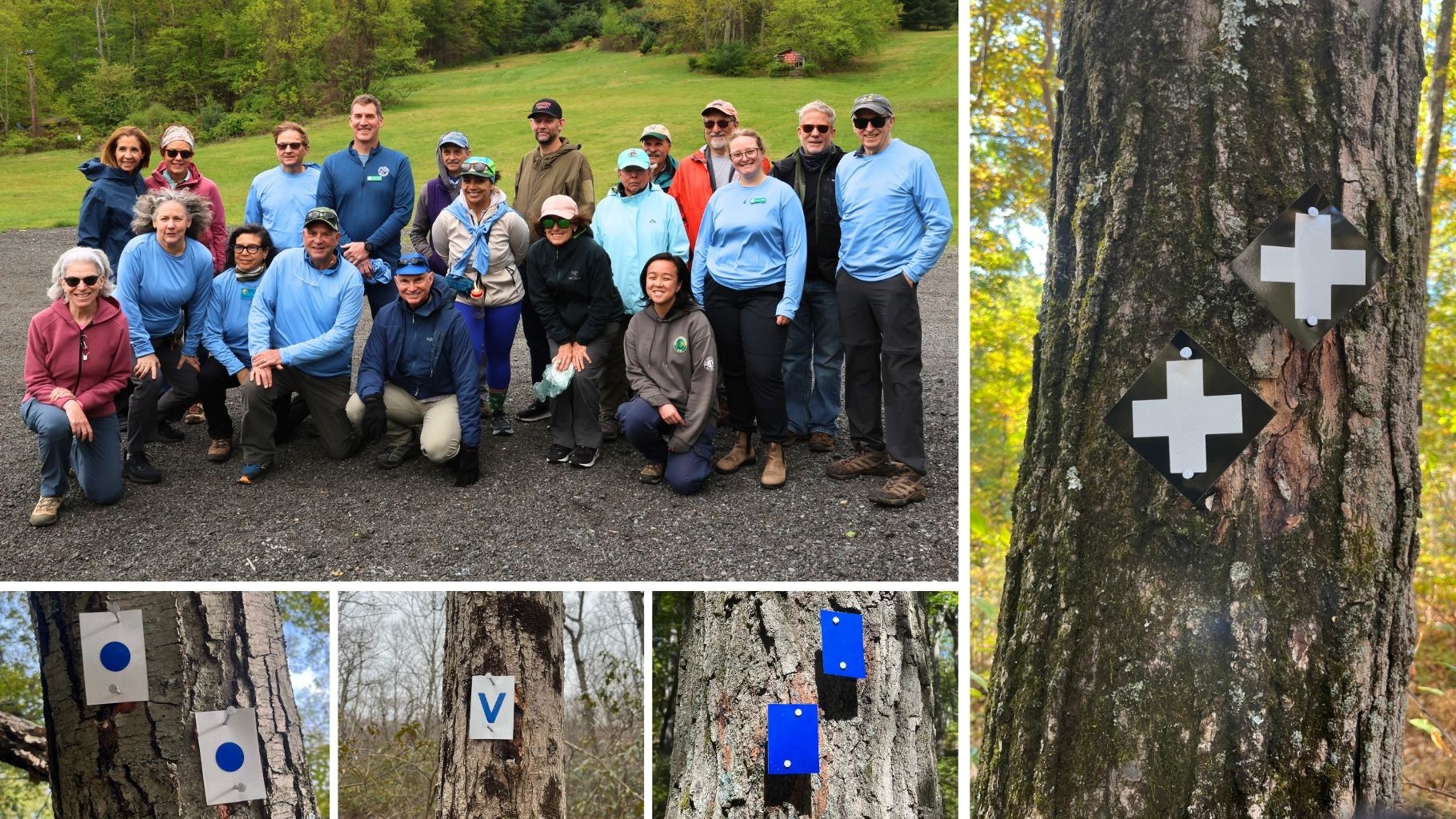196 Miles, 26,000 Blazes: A Landmark Volunteer Achievement in Harriman and Bear Mountain State Parks