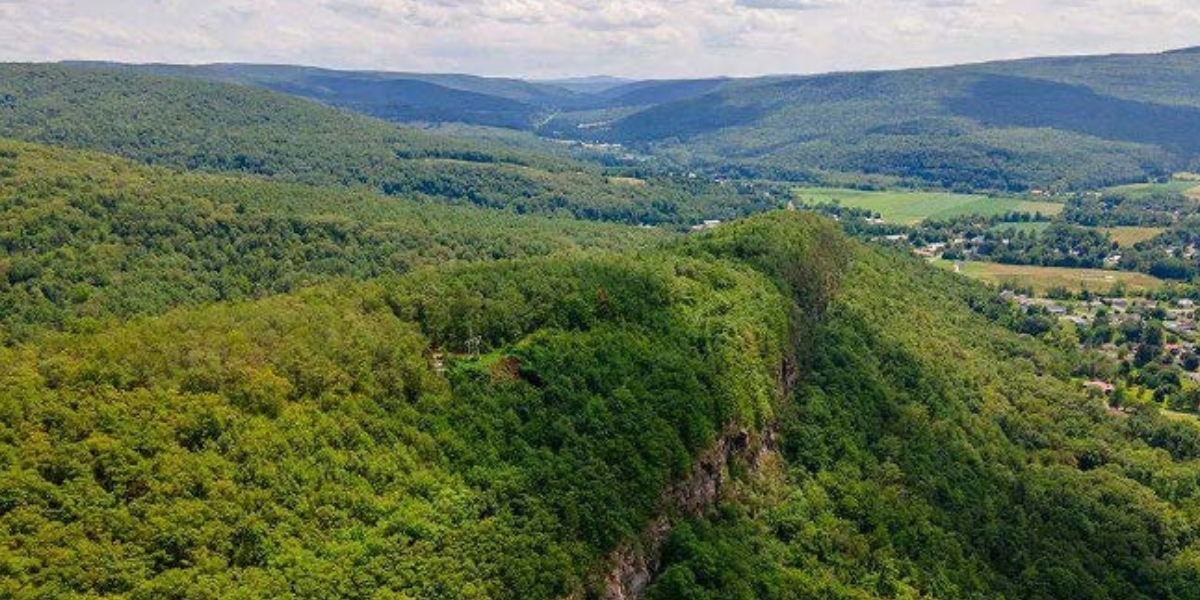 Conservation Success: Middleburgh Cliffs Now Permanently Protected